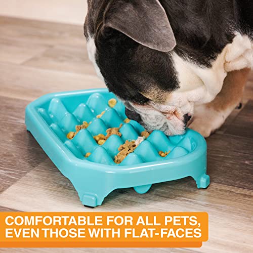 Neater Pet Brands - Neater Slow Feeder - Fun, Healthy, Stress Free Dog Bowl Helps Stop Bloat Prevents Obesity Improves Digestion (2.5 Cup, Aquamarine) #TOP4