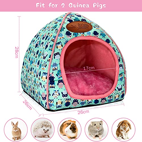 RANYPET Guinea Pig Bed - Image 2