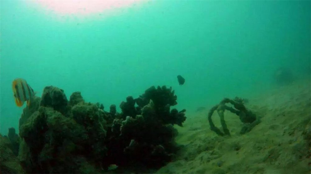 thorrobotics underwater drone