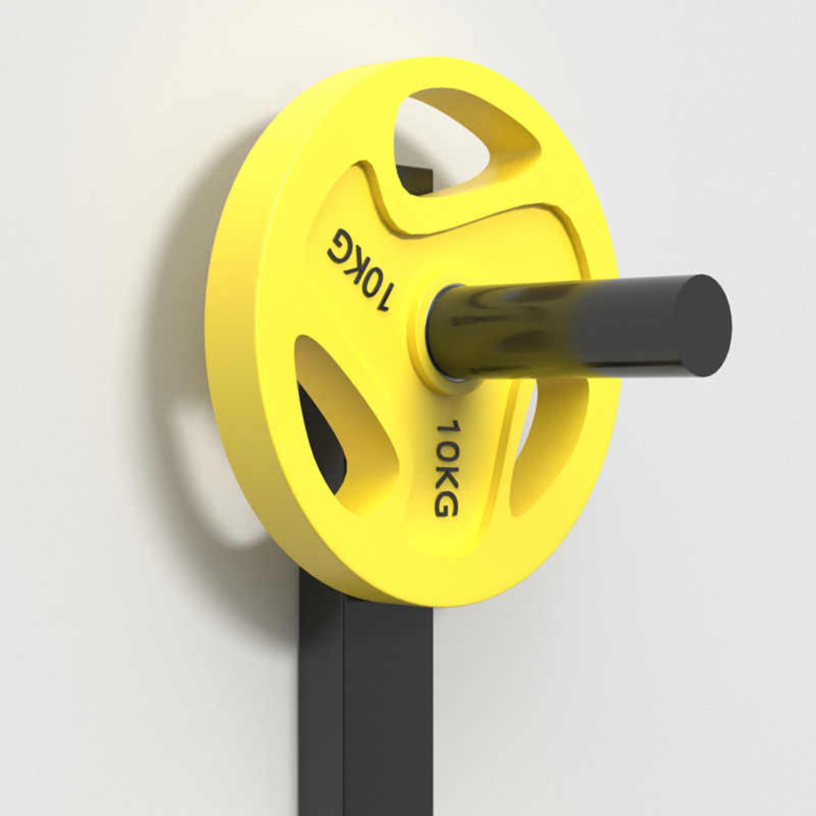 Soporte para Discos De Pesas, Soporte De Pared para Almacenar Discos De Pesas, Ahorra Espacio, Compatible con Discos Estándar De 2,5 Cm