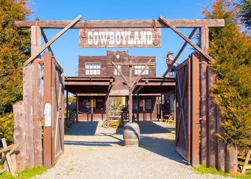 Fond entrée en bois rustique Cowboyland 2.7x1.8m pour studio photo