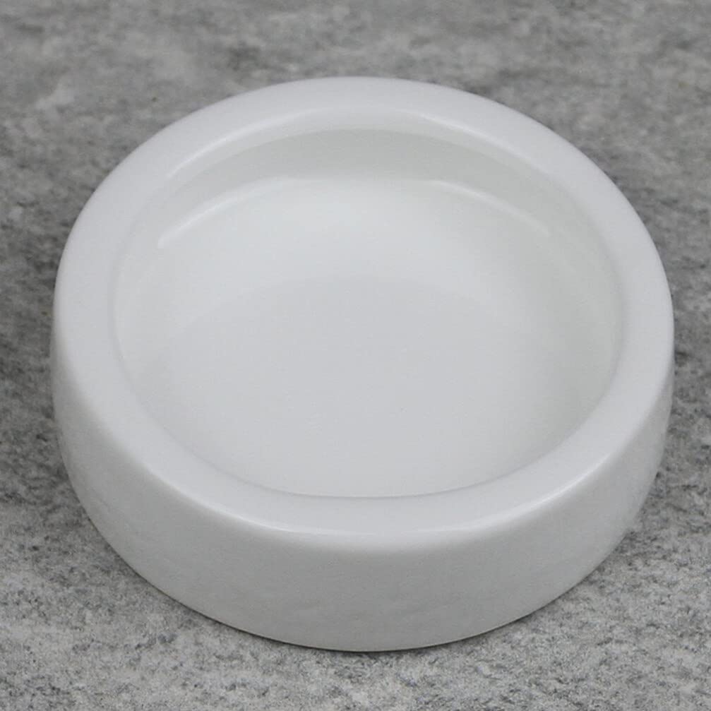 VILLCASE Keramische Voeden Bowl Reptiel - 1 Stks Schotel Hagedis