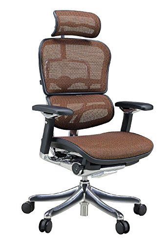 Amazon.co.jp: メーカー組立完成品 エルゴヒューマン プロ オフィス Amazon.co.jp: メーカー組立完成品 エルゴヒューマン プロ オフィス