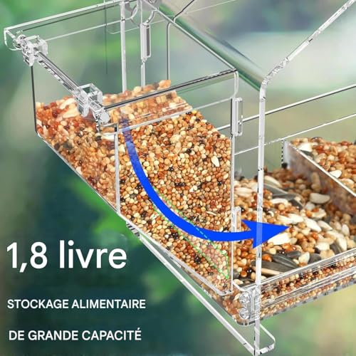 Mangeoire oiseaux anti-écureuils transparente pour une observation sans gêne