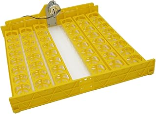Yardenfun Egg Incubator Egg Hatcher Incubator Automatic Incubator Machine Incubator for Chicken Eggs Incubator for Eggs Auto Incubator Eggs Poultry Hatcher Accessories Quail