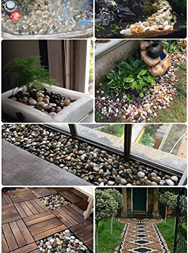Kiesel Natur Deko Polierte Deko Steine ​​Naturkiesel Kies für Garten Steine ​​2-4 cm 900g Kiesel Garten/Aquarien/Pflanzendeko