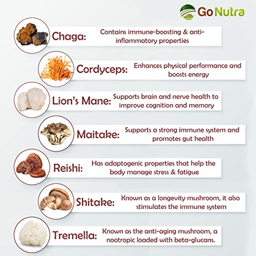 Go Nutra - Organic 7 Mushroom Supplement, Longevity Mushroom Powder with Lion’s Mane, Chaga, Shiitake, Maitake, Reishi, Tremella, and Cordyceps Mushroom, Non-GMO, Gluten-Free, Vegan, 4 oz - Image 2