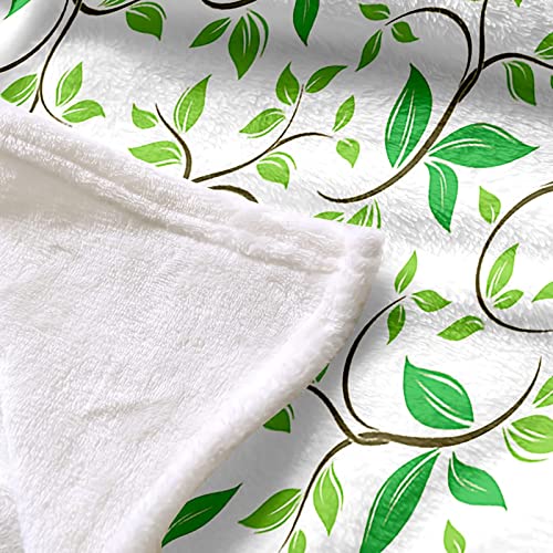 Couverture Douce et Confortable KnSam Vert Plaid Cocooning pour vos Soirées Canapé