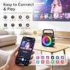 Karaoke Machine with 2 Wireless Microphones: Portable Bluetooth Karaoke Speaker for Adults Kids, Connects to TV Phone Tablet, Party Speaker Gift for Home Outdoor Family, PA Power-Amplifiers #2