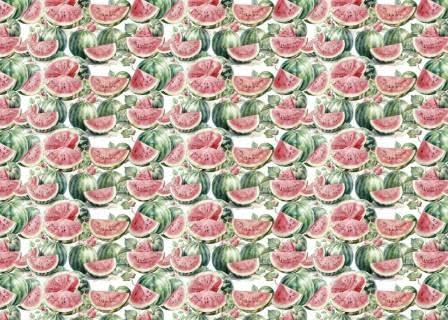 PAPERSFORYOU Tela de encuadernar Fruit´s Market Watermelon III 70x50cm