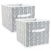 DII CAMZ38455 Foldable Fabric Storage Containers (Set of 2), Large (2), Gray