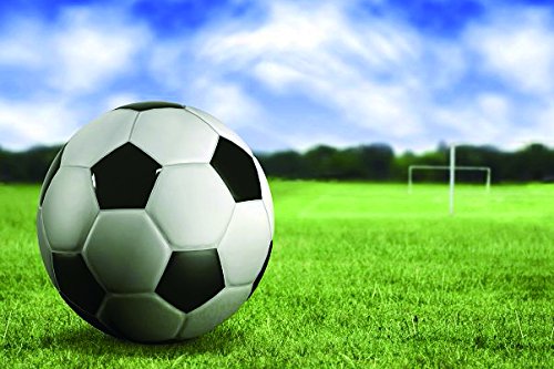 Soccer Ball- Nature Art Poster Print on Canvas 24x35in (P-1000388)