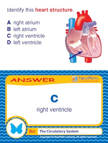 Jeu Circulatory System NewPath Learning pour classes de collège de la 6e à la 3e - 6