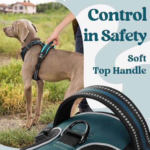 rabbitgoo Dog Harness Large Dog No Pull Pet Harness with 2 Leash Clips, Adjustable Soft Padded Pet Vest Harness, Reflective No-Choke with Easy Control Handle for Training or Walking, Dark Green, M - Image 4