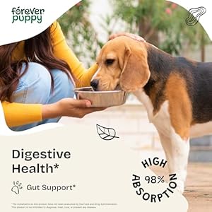 Digestion-Drops-for-Dogs-Liquid-Digestive-Supplements-wFennel-Seeds-Licorice-Root-Fiber-for-Dogs-Herbal-Dog-Vitamins-and-Supplements-for-Digestive-Health-Gut-Support-4-oz - Cucciolini Doodles   Digestion-Drops-for-Dogs-Liquid-Digestive-Supplements-wFennel-Seeds-Licorice-Root-Fiber-for-Dogs-Herbal-Dog-Vitamins-and-Supplements-for-Digestive-Health-Gut-Support-4-oz
