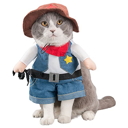 猫 服 かわいいの人気商品 通販 価格比較 価格 Com