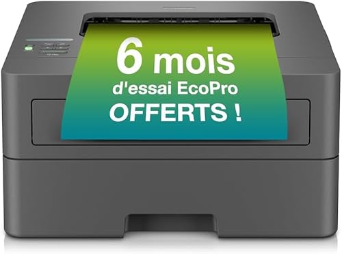 Brother HL-L2400DWE Laserdrucker Original Toner TN-2510 schwarz