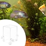 Negative Pressure Fish Tank –5 Gallon Auto-Refill Rimless Aquarium for Beta Fish, Decorative Auto Top-Off Aquarium with Water Level Maintenance