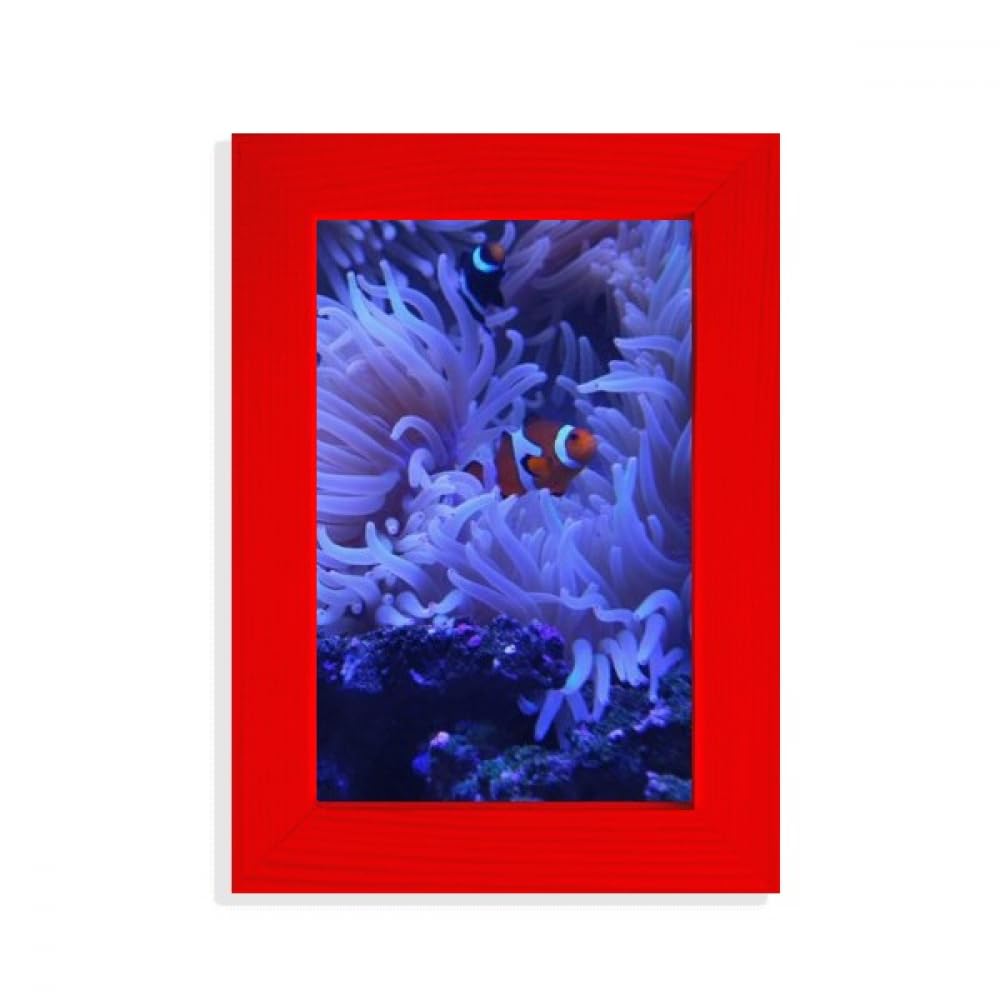 Cadre photo Ocean Anem Fish Science Nature rouge pour décoration marine
