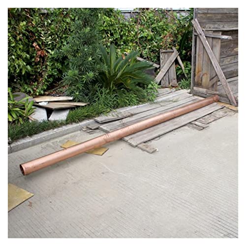 JA J`F[a_EpCvRl̉H΂JRlaRla둕IȂЂa IȐElZAGKg(O)