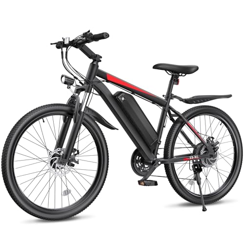 Loeook EB-M1 Electric Mountain Bike