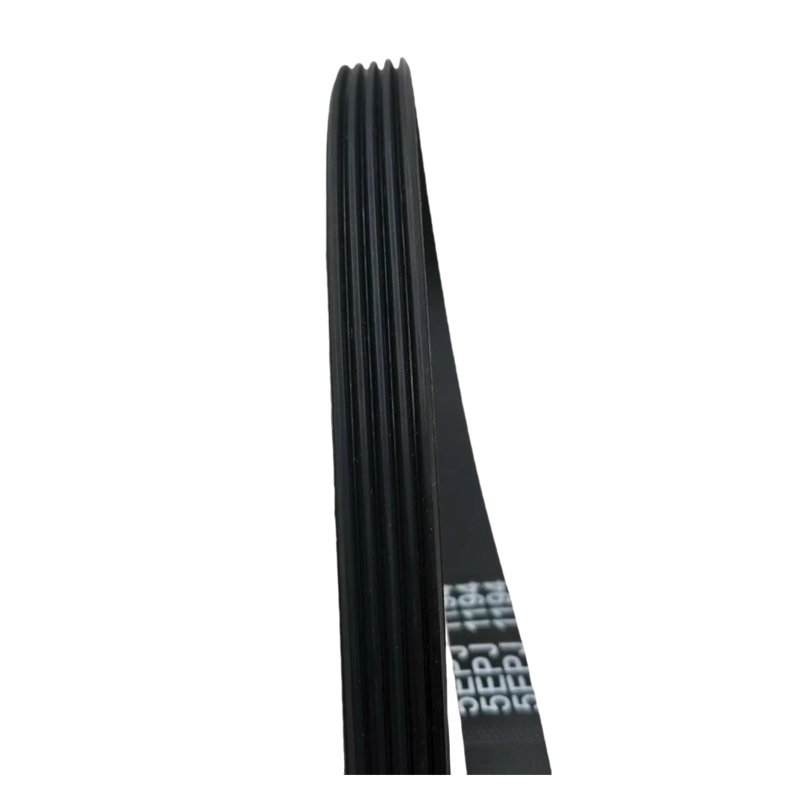 Correa de transmisión para tambor lavadora 5EPJ1194 compatible con Ariston compatible con correas de transmisión Whirlpool