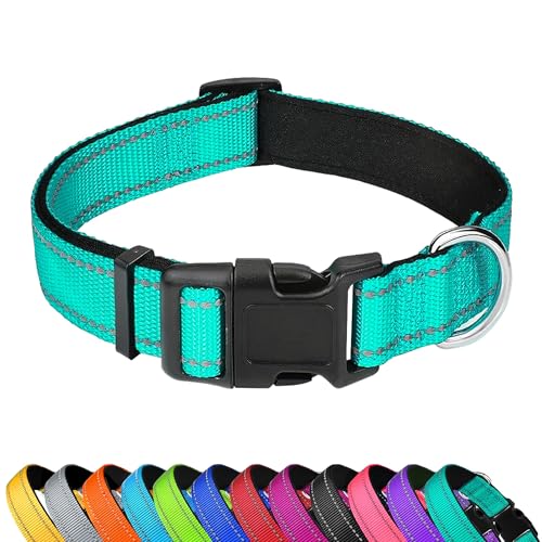Collar reflectante para perro talla S color teal miniatura 2