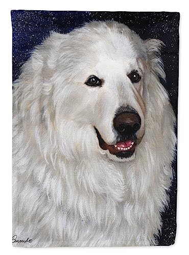 Drapeaux d'extérieur en polyester Caroline's Treasures PPP3104GF double pli