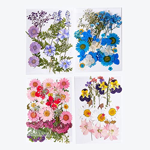 4 Pack 135PCS Real Dried Pressed Flowers Leaves Natural Set for Art Crafts DIY Resin Bulk,Real Dried Flowers for Candle Making Paper Flowers for Crafts Dried Daisy Flowers for Resin