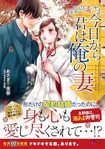 お気の毒さま、今日から君は俺の妻 (ベリーズ文庫)