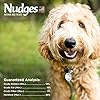 Nudges Blue Buffalo Nudges Grillers Natural Dog Treats, Steak, 16oz Bag #5