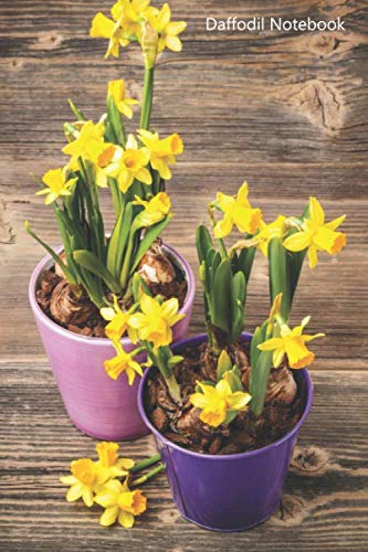 Daffodil Notebook: Daffodil notebook blank pages - Journal to write in - 120 pages - 6"x9", White