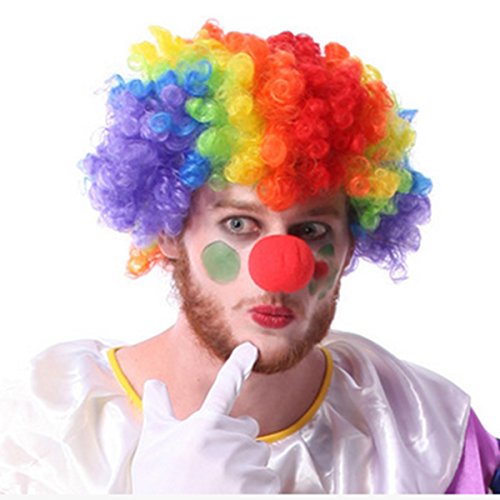 JH Child Women Men's Rainbow Afro Clown Wig for Sports Fan Cheerleaders Carnival Cosplay Halloween + Red Clown Nose