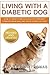 Living With A Diabetic Dog: How To Keep Your Dog Healthy, Prevent Common Problems And Avoid Complications