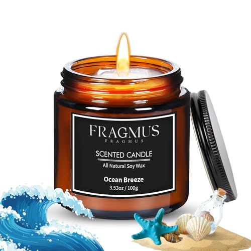 Fragmus FR01-100 Scented Candles Ocean Breeze,Calssic Scents Candle cover