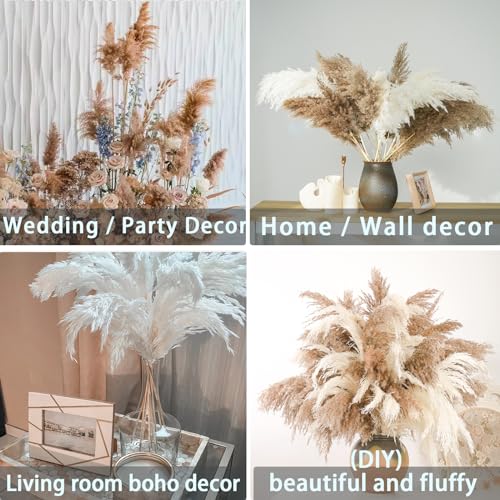 Image of 30 Stems 28 inch Boho Decor Tall - Dried Pampas Grass, Brown & White Pampas Grass Fluffy Large, Dry Flowers, Tall Pampas Bulk for Room Decor, Home Decor Floor,Wedding Decor