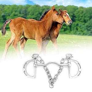 Wosune Comfortabele roestvrijstalen paardenmond, paardenmond, prachtig ambacht voor langdurig gebruik (de mond van het paard is 125 mm lang)