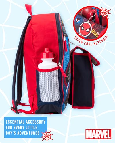 Fast Forward Spiderman Kids Backpack Set - 5 Piece 15" Backpack for School with Lunch Bag Water Bottle Keychain & Carabiner, Spider-man Blue/Red4