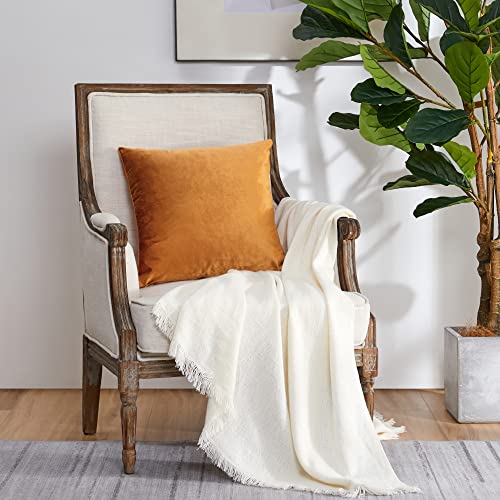 Image of GIGIZAZA Decorative Couch Throw Pillow Covers,Orange Square Pillow Cushion Covers 22x22,Pillow Cases Velvet Pillow Covers