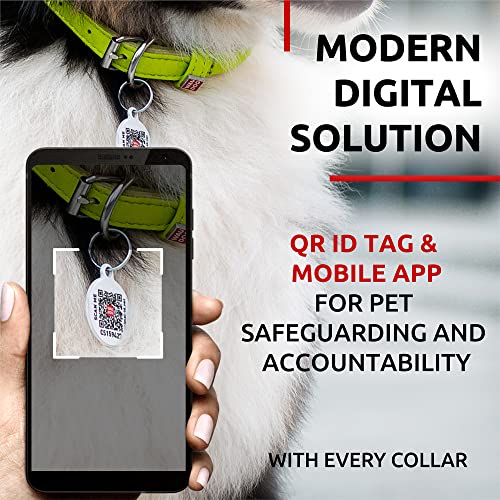 WAUDOG Ultra Soft Rolled Leather Dog Collar for Small Dogs - Soft Padded Dog Collars for Medium Dogs - Puppy Collars for Large Breed Dogs - Male and Female Dog Collar - Thumbnail 3