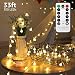 TuoPuLife LED String Lights,33ft 100 Led Waterproof Ball Lights, Battery Powered Starry Fairy Globe String Lights with Remote Timer for Bedroom, Garden, Christmas Tree, Wedding, Party (Warm Light)