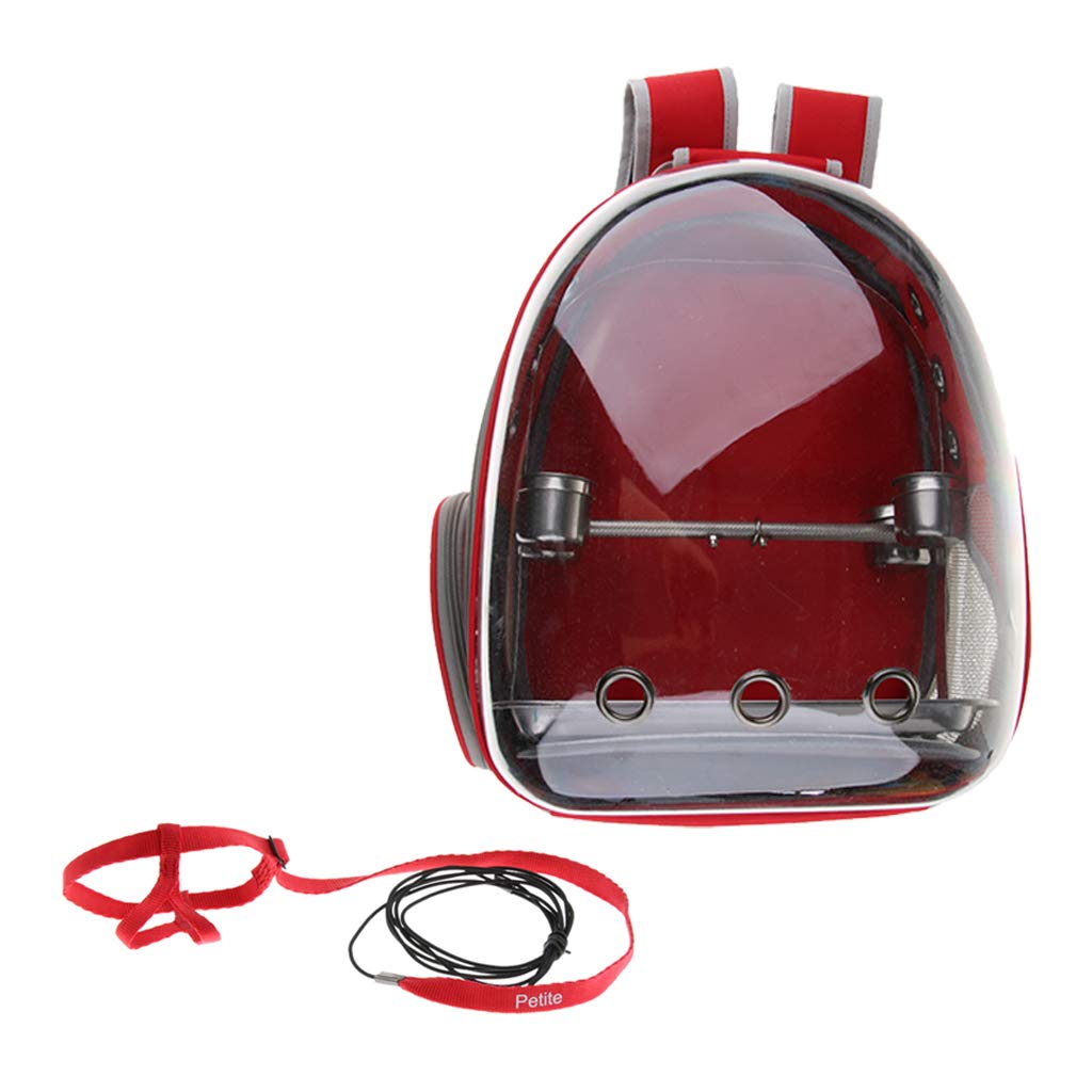 Transportador para pájaros y loros de viaje con cubierta transparente roja con correa de arnés y soporte