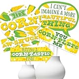 Big Dot of Happiness Funny It's Corn - Fall Harvest Party Photo Booth Props Kit - 10 Piece