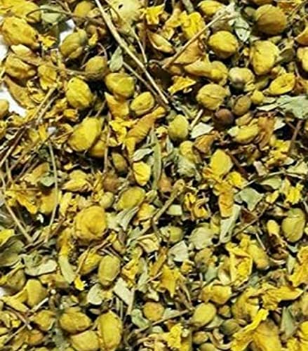 Yazhini Nature Life Dried Aavarampoo | Tarwar | Aavaram | Dried Senna Auriculata | Tangedu Flower Dried 200 Gm