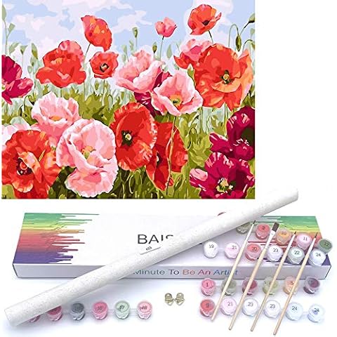 BAISITE Paint by Numbers Kit for Adults Beginners,20" Wx16 L Canvas for Painting Kits for Adults in Colorful Box Poppy Flowers-BSC001 Cover