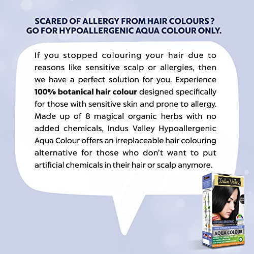 Image of INDUS VALLEY Hypo Allergic Aqua Colour 100% botanical hair Colour Indus Black-(30ml + 200g)