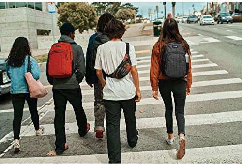 Dakine Classic Hip Pack, Medium (9 x 6 x 3in) - Image 6