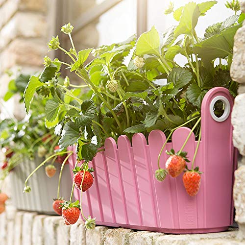 Erstaunlich Emsa Landhaus Blumenkasten Ebenbild