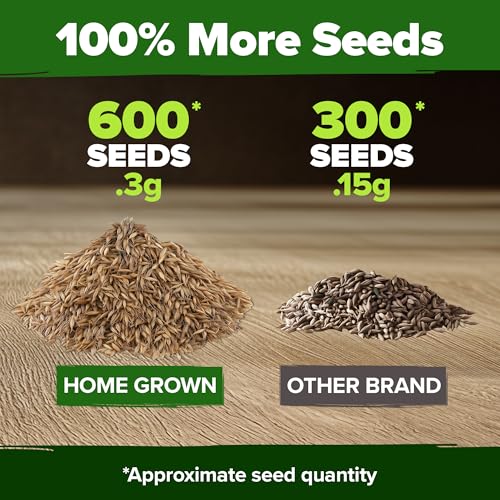 Image of HOME GROWN Dandelion Seeds for Planting 600 Heirloom Medicinal Herb Seeds (~0.3g) Non GMO Grow Edible Leaves and Flowers for Remedies or Wildlife (Taraxacum officinale)