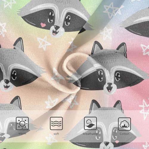 Joisal Cute Cartoon Raccoon Pastel Little Girl Panties Toddler Girls Underwear Cotton Fun Print Briefs Undies Kids 2t3